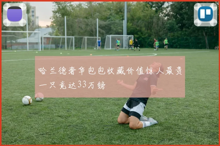 哈兰德奢华包包收藏价值惊人最贵一只竟达33万镑